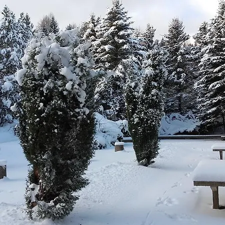 Hotel Ferienhotel Markersbach